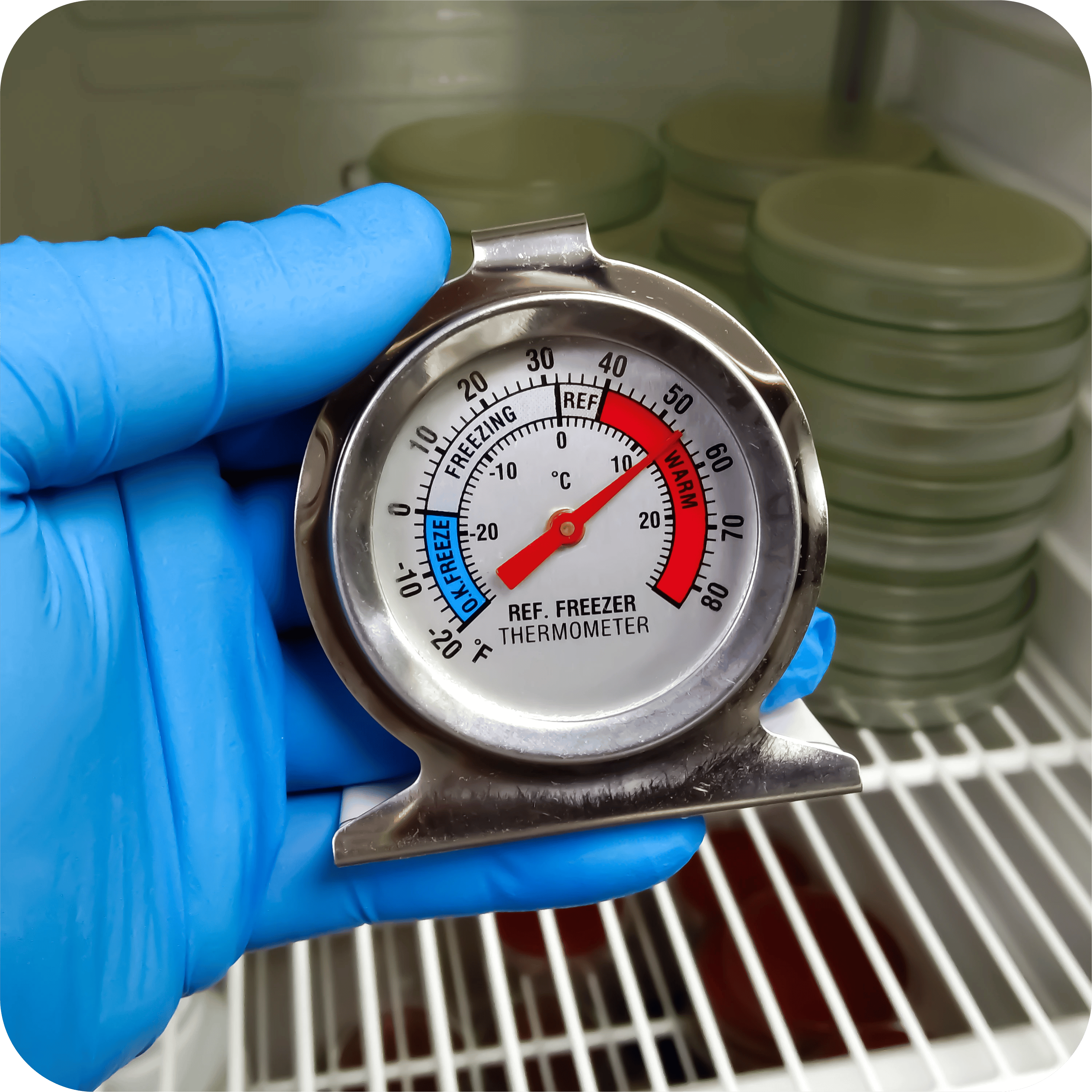 use cold chain monitoring systems to monitor the temperature of sensitive food]