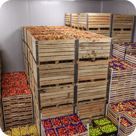 remote cold chain monitoring eases the supply chain process