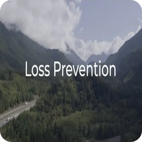 Loss Prevention with Link Labs