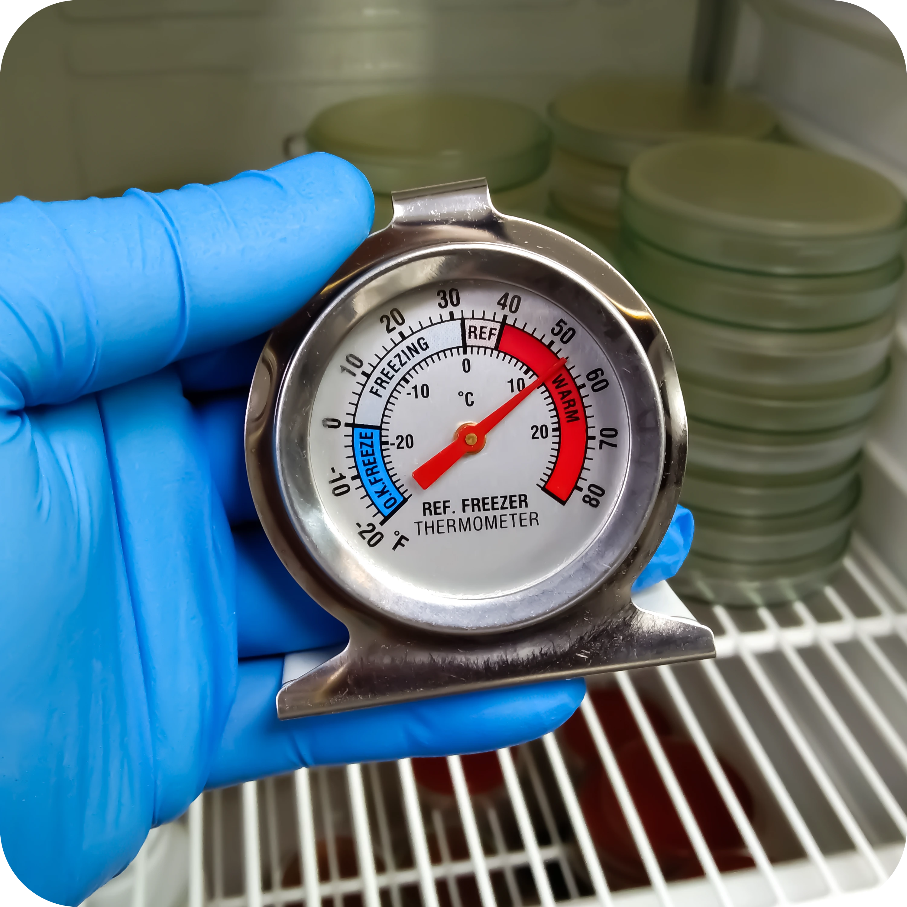 use cold chain monitoring systems to monitor the temperature of sensitive food]