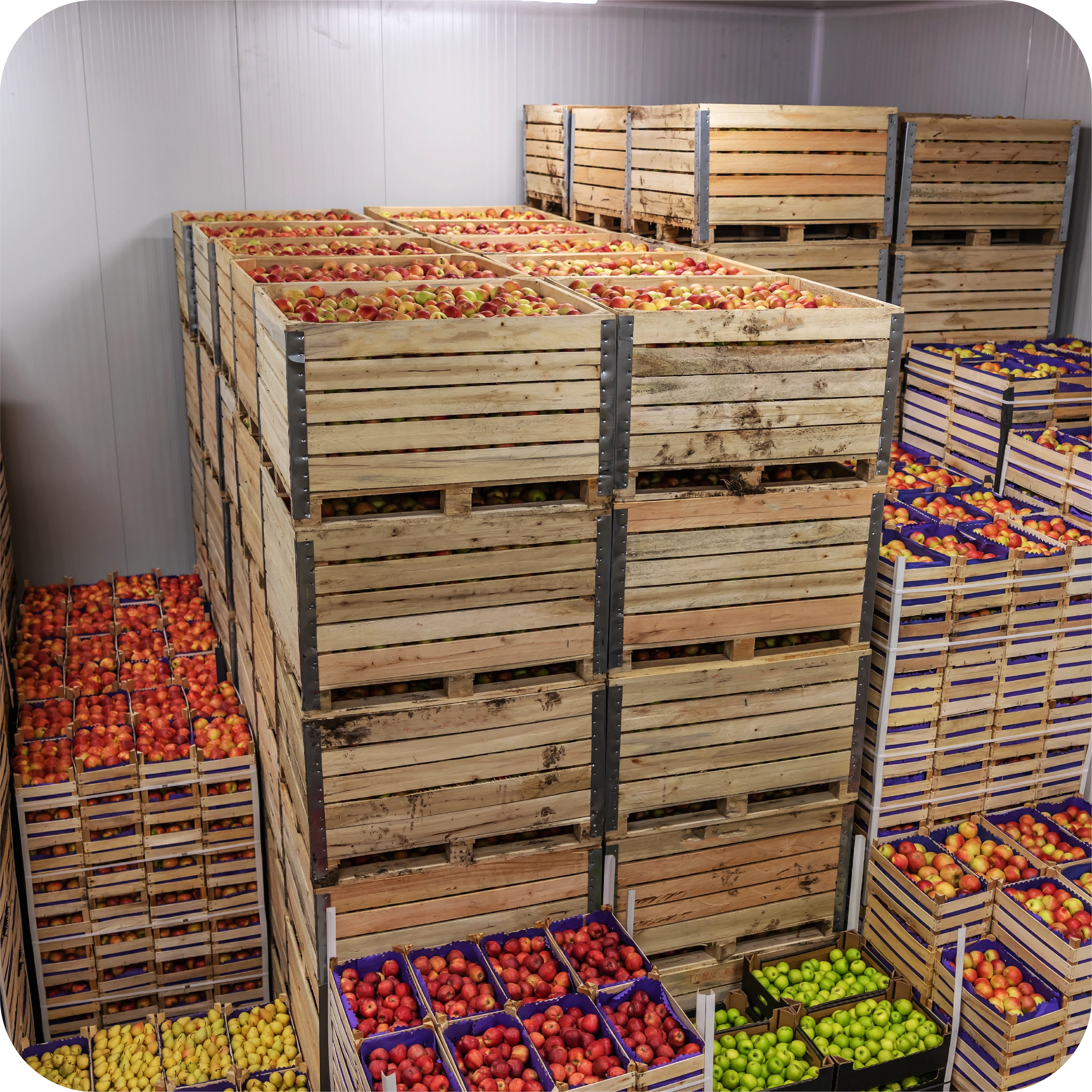 remote cold chain monitoring eases the supply chain process