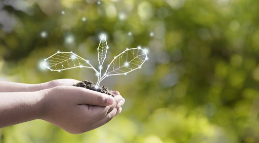The Role of IOT Technology in Sustainability